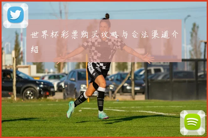 世界杯彩票购买攻略与合法渠道介绍