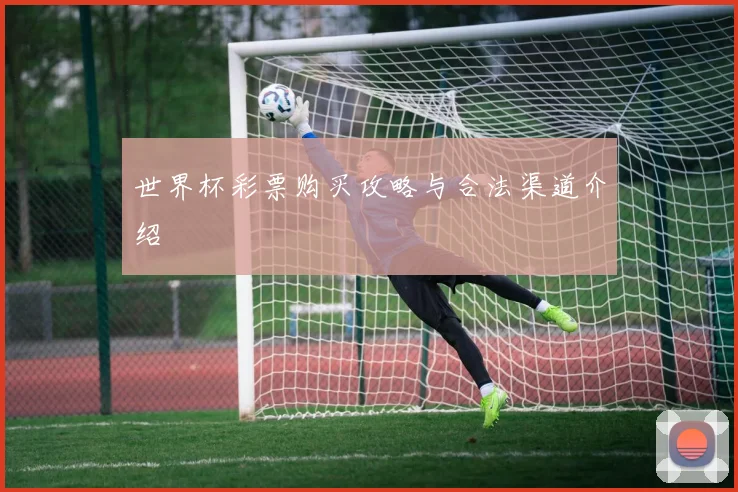 世界杯彩票购买攻略与合法渠道介绍